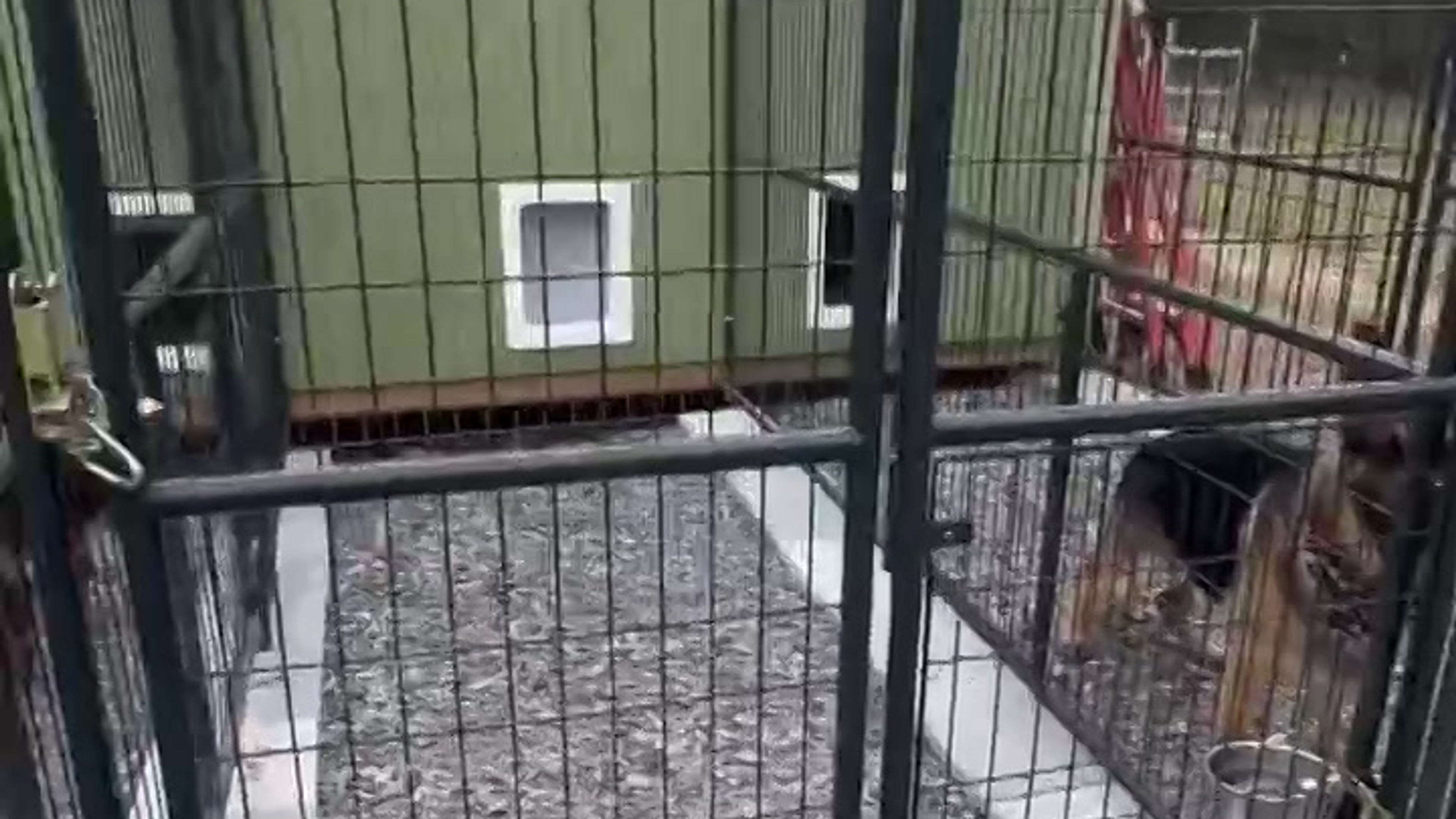 Fame Kennels & Training Academy